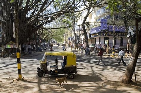 When cities were Nature’s haven: a tale from Bangalore .